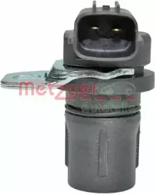 metzger-0909017